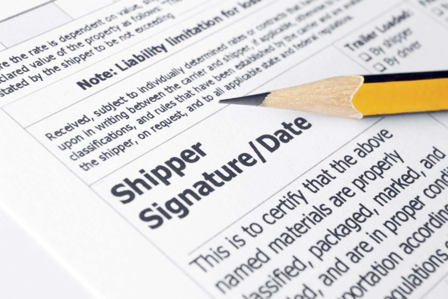 7xm960843-1-1536x1025